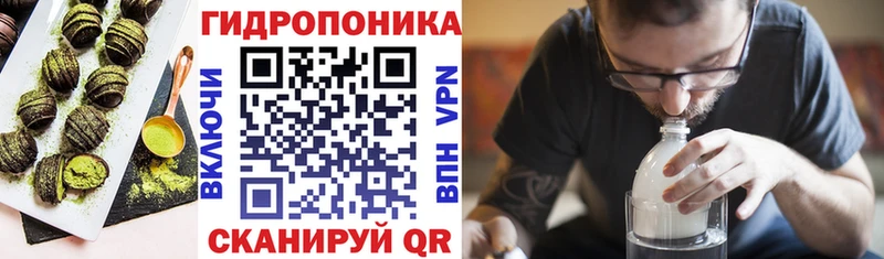 ОМГ ОМГ сайт  Зеленоградск  Canna-Cookies марихуана  сайты даркнета клад  где купить наркоту 